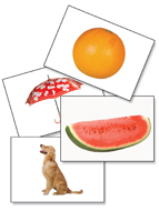 Photo FUNtastic Language Cards - Special - SAVE $70 dollars online