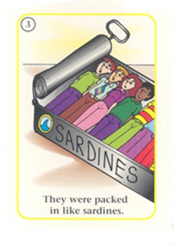 sardines